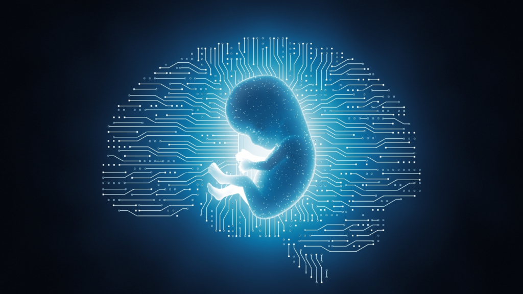 Why this startup wants to make brainless human clones