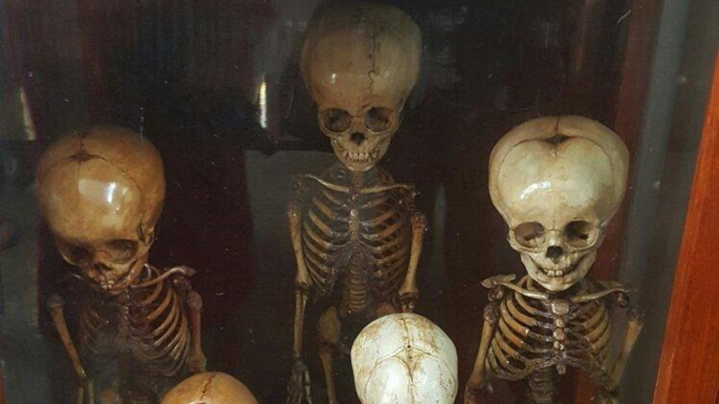 I visited Bangkok’s ‘Museum of Death’ and it was even stranger than I expected