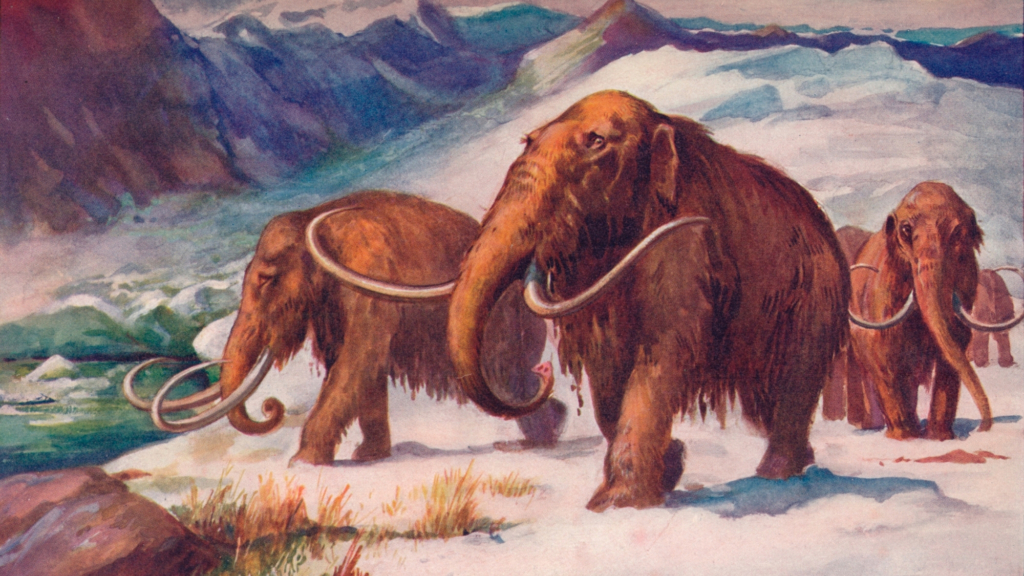 Scientists discovered a lost branch of humanity that survived the Ice Age
