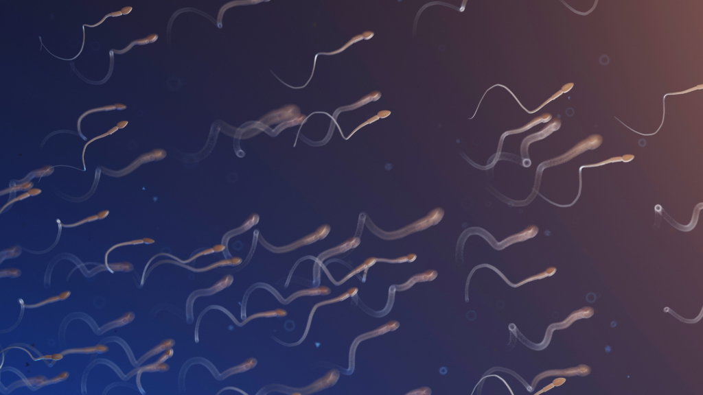 The strangely determined time when your sperm quality peaks