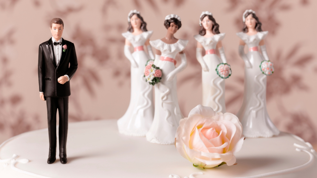 What is monogamy and why is the manosphere so obsessed with it?