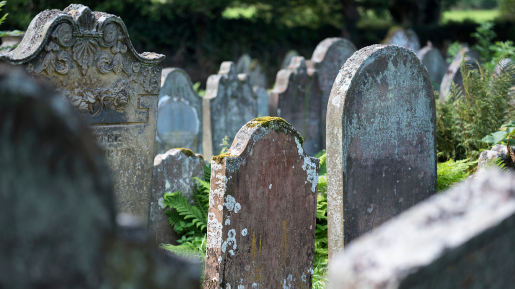 How a patch of moss helped the police bust a grave robbery