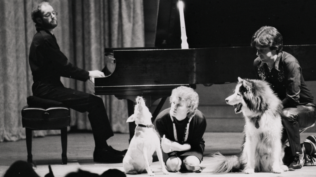 This dog breed doesn’t just howl, they sing along to their favorite songs